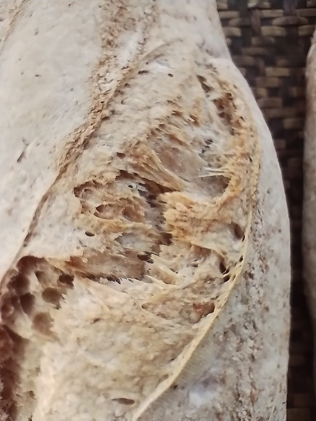 Batârd detalhe Batârd detalhe