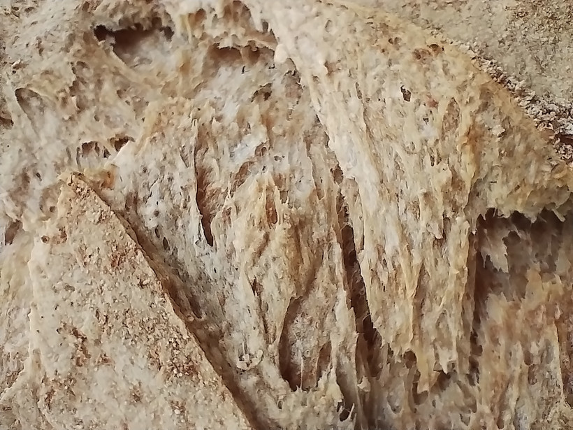 Grain crosta